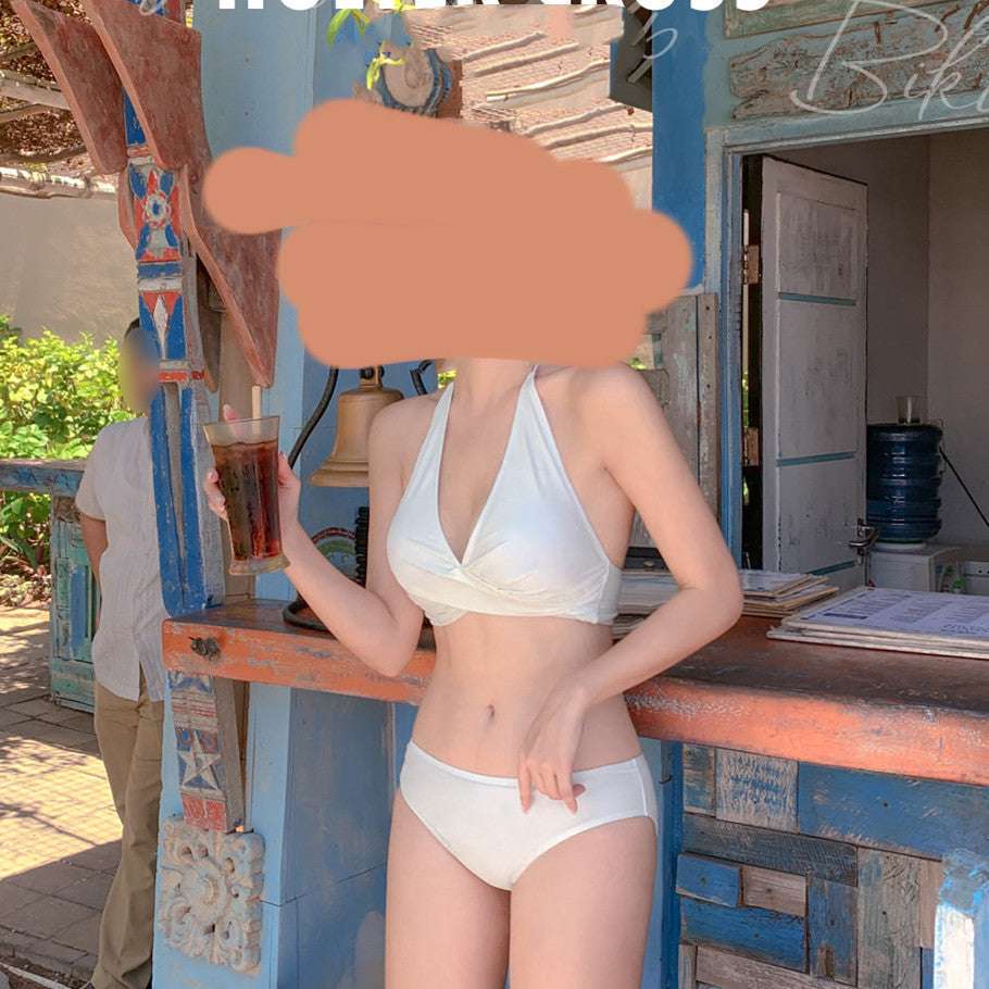 Swimsuit Women Fashion Sexy Slim Slimming Small Breasts Gather Beach Beach Bikini Swimwear - globaltradeleader