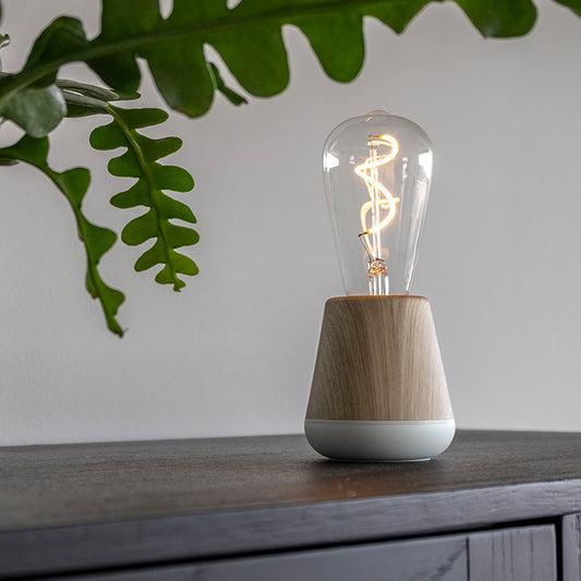 Ambience Light Long Endurance 3-speed Adjustable Portable Camping Lantern - globaltradeleader