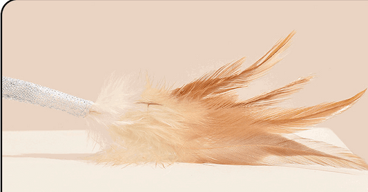 Self-hi Intelligent Electric Pet Toy Charging