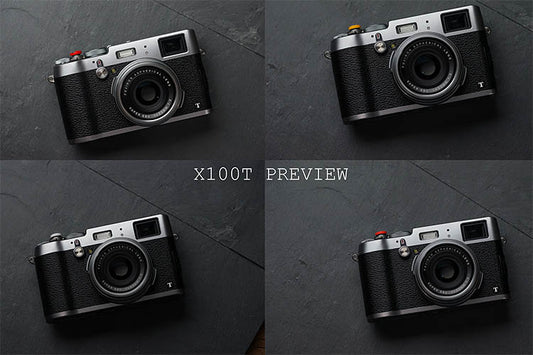 Ladybug shutter button camera shutter button button