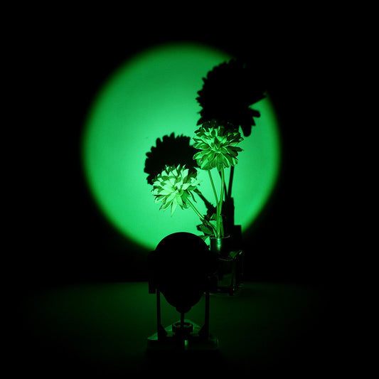 Net Red Sunset Lights Sunset Projection Lights Rainbow Background Lights Live Lights