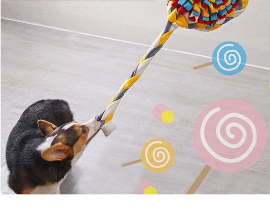 Dog Candy Sniffing Pad Decompression Training