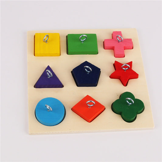 Parrot Training Toy 9 Color Wooden Blocks