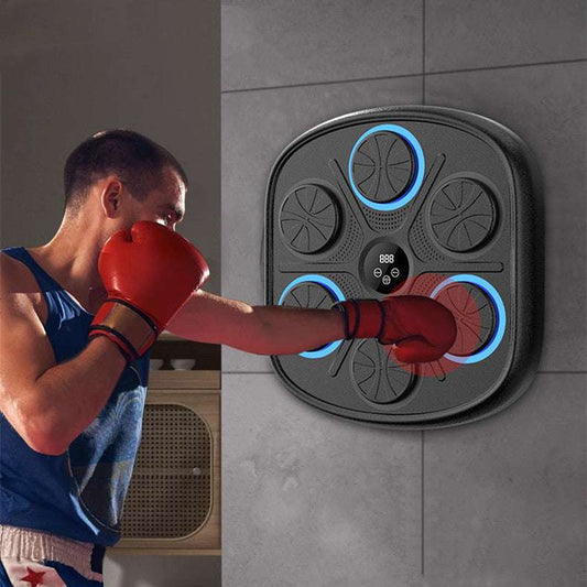Music Boxing Target Training Wall Target Fitness Equipment - globaltradeleader