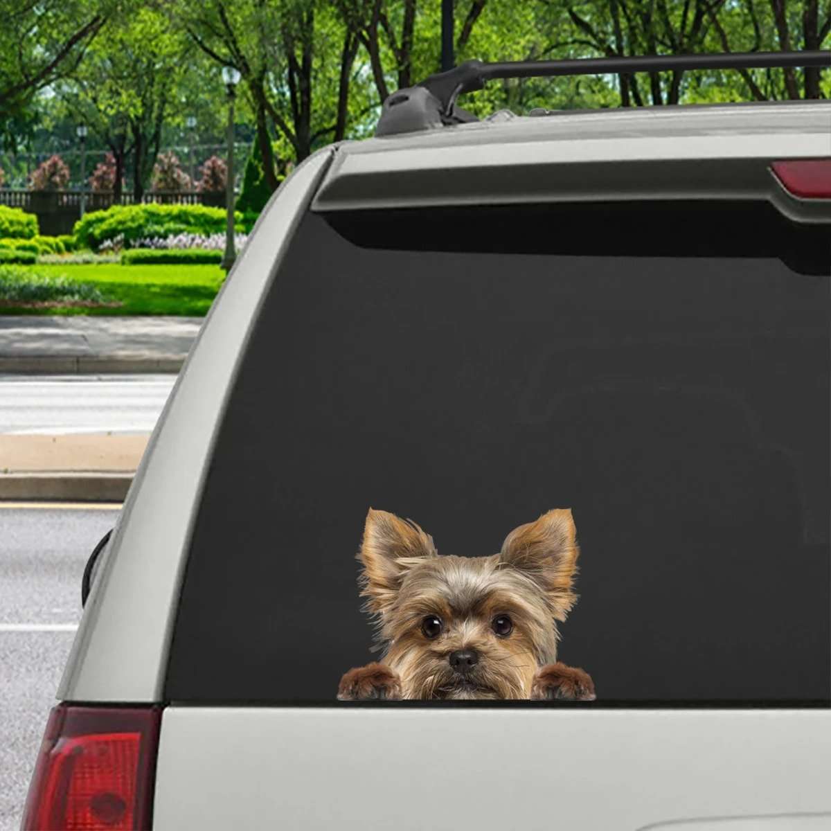 Smiling Rottweiler Body Sticker, Car Window Sticker, Reflective And Waterproof