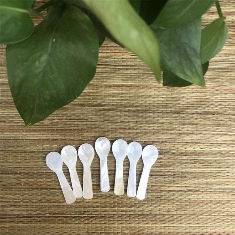 Conch Shell Children's Tableware Seasoning Spoon No Lacquer