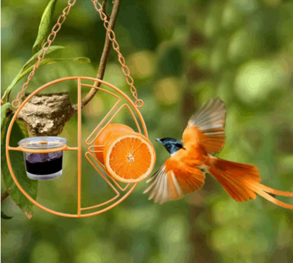 Hanging Metal Bracket For Outdoor Feeding Of Hummingbirds