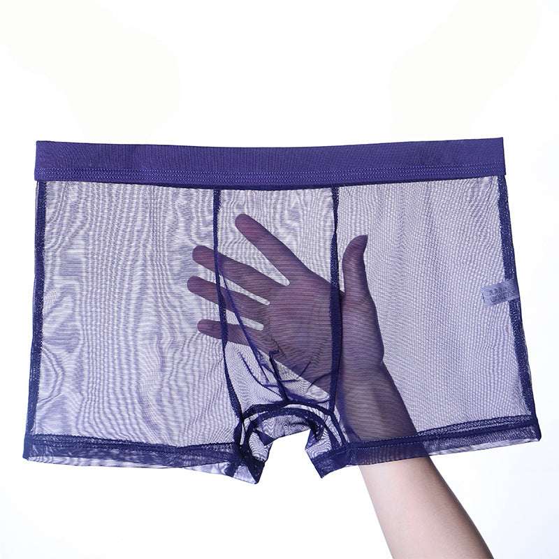 Men's Underwear  Thin Mesh Transparent Blcak