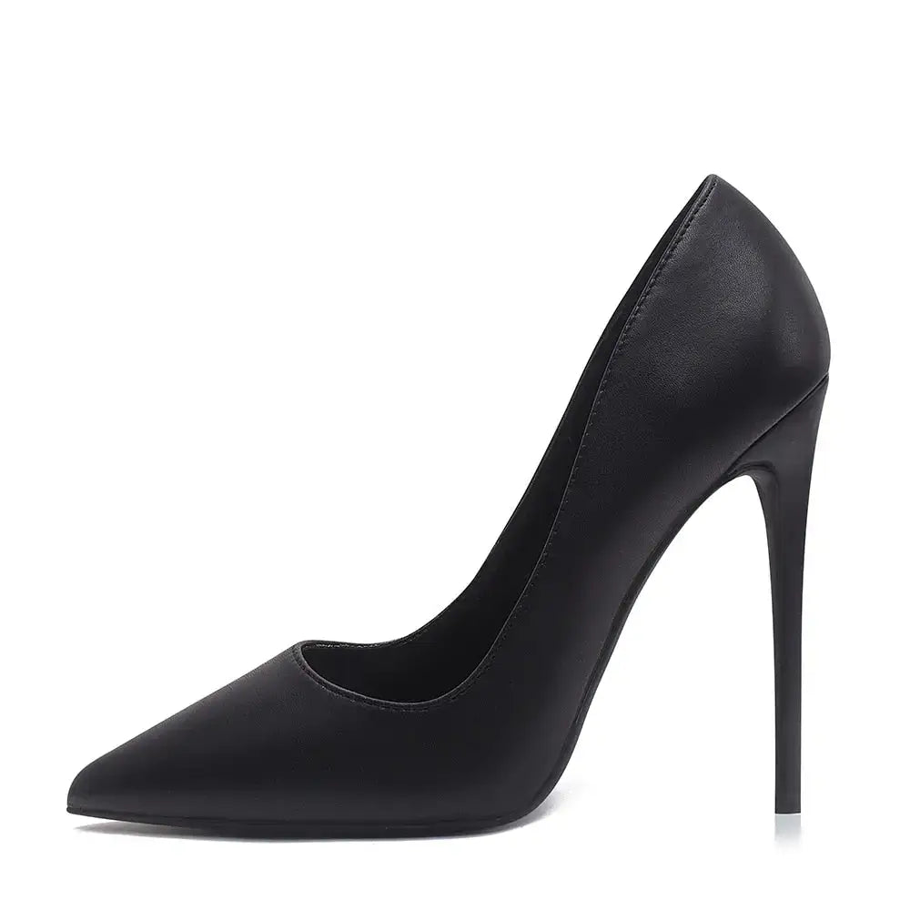 12cm  Pointed Toe Stilettos  Shoe