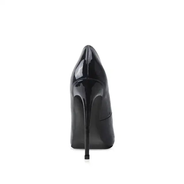 12cm  Pointed Toe Stilettos  Shoe