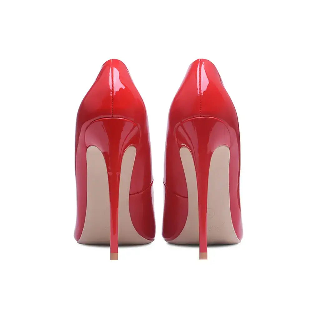 12cm  Pointed Toe Stilettos  Shoe