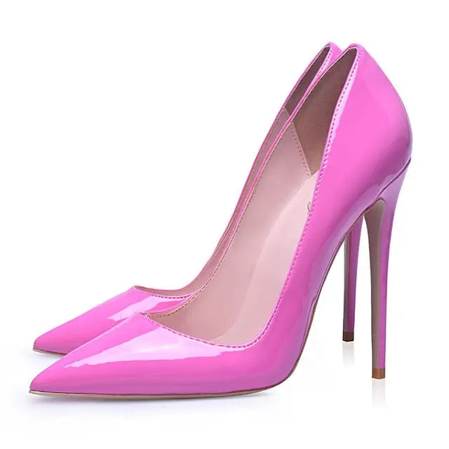 12cm  Pointed Toe Stilettos  Shoe