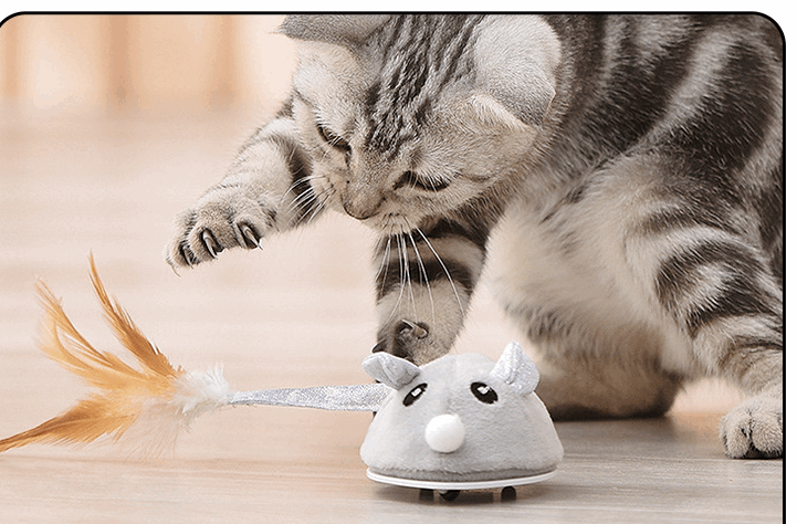 Self-hi Intelligent Electric Pet Toy Charging