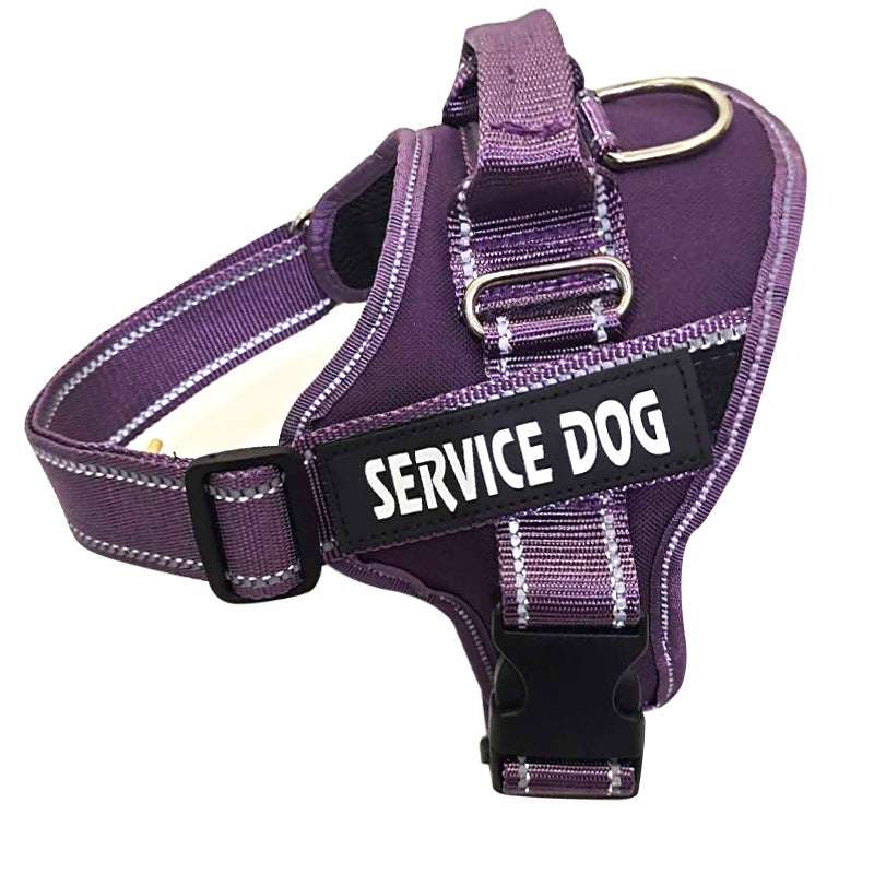 Outdoor Explosion-proof Okinawa Leash