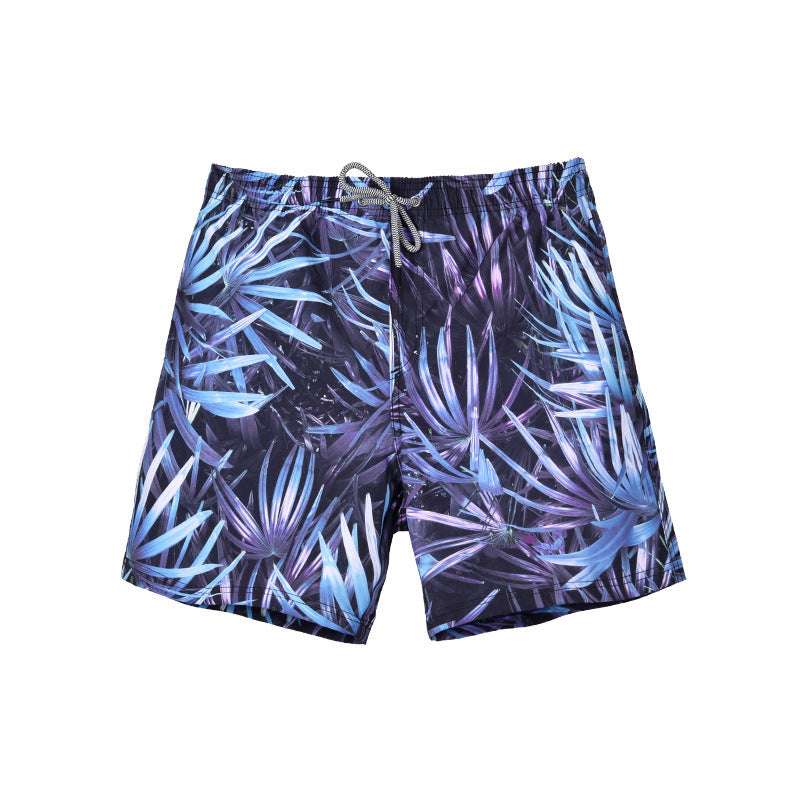 Summer Quick-drying Shorts Men's Beach Pants - globaltradeleader