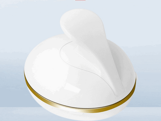 Home Radiofrequency Photon Skin Beautifying Instrument Ion Inductor