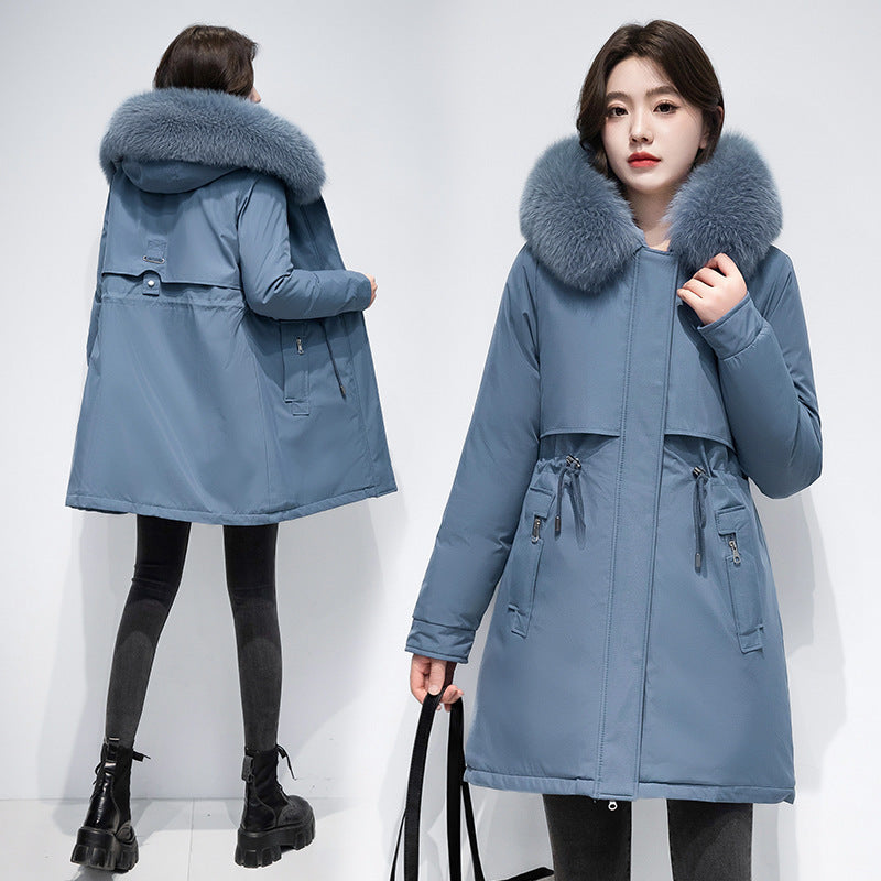 Women's Coat Winter Cotton-padded Jacket - globaltradeleader