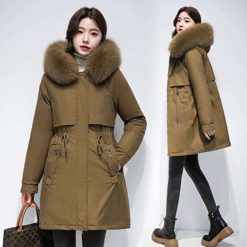 Women's Coat Winter Cotton-padded Jacket - globaltradeleader