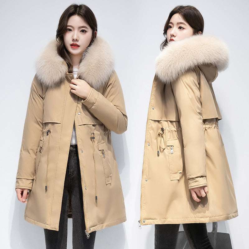 Women's Coat Winter Cotton-padded Jacket - globaltradeleader