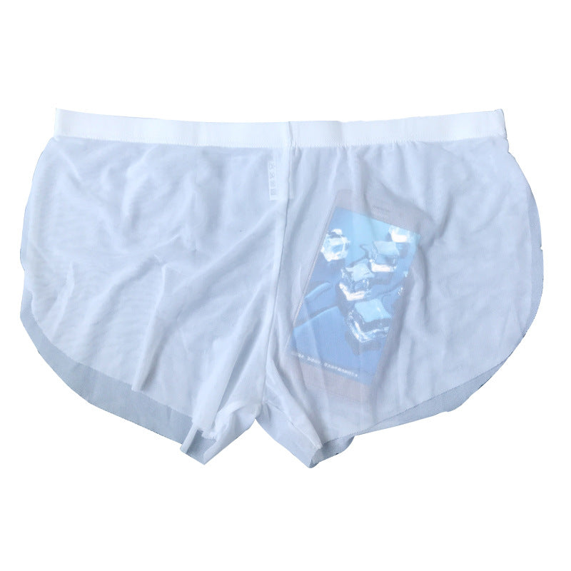 Transparent men's underwear