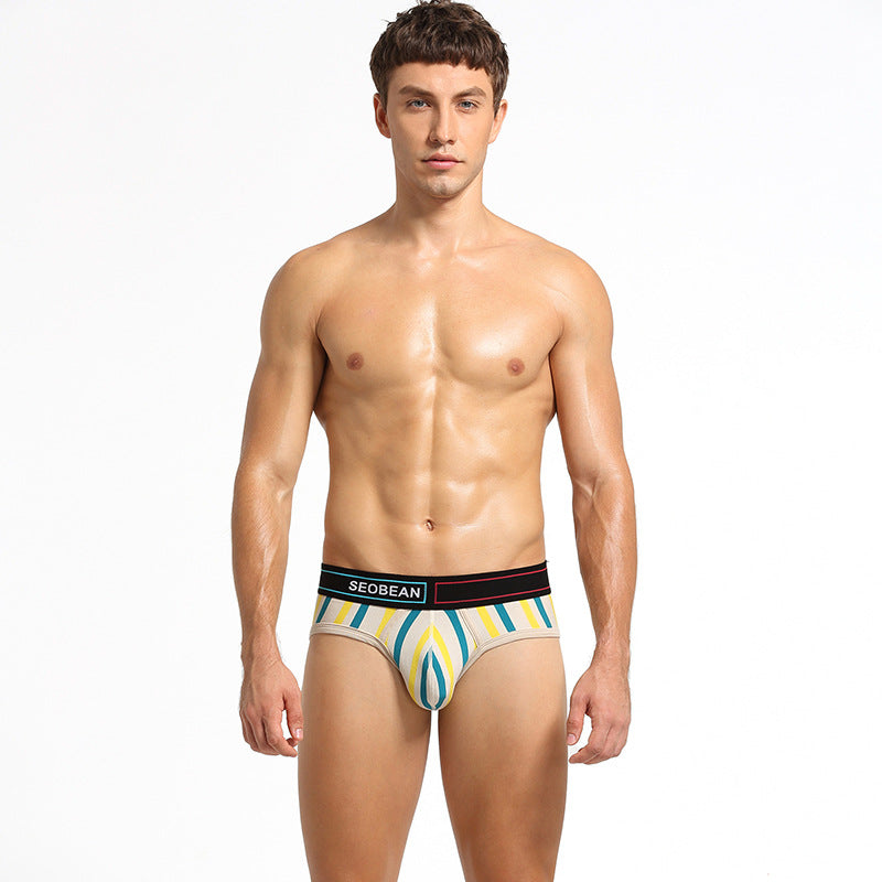 Men's Briefs Cotton Briefs With Vertical Stripes