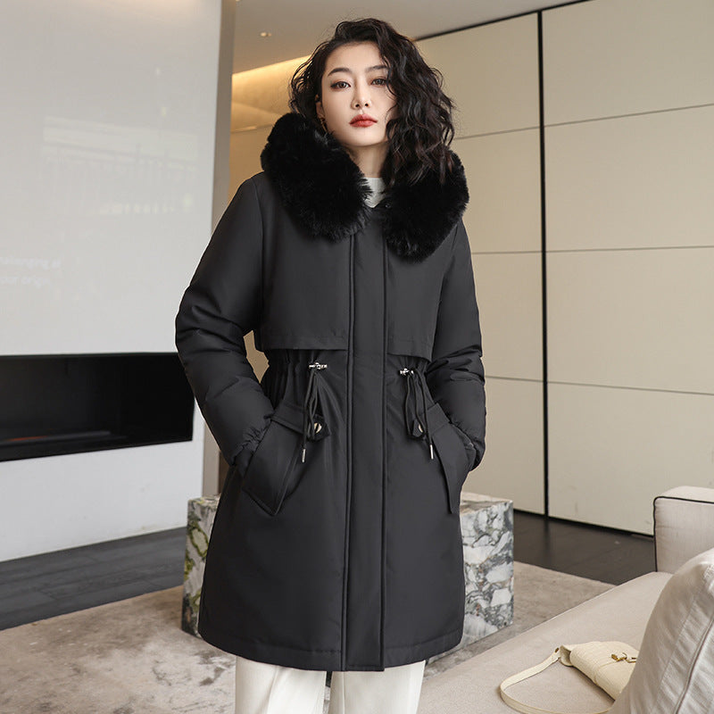 Korean Style Small Waist Down Coat - globaltradeleader