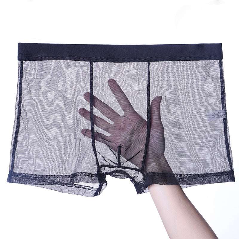 Men's Underwear  Thin Mesh Transparent Blcak