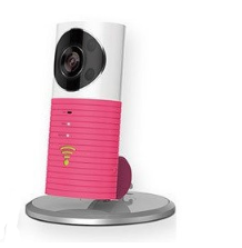 360 Degree Panoramic  Dog Network Camera