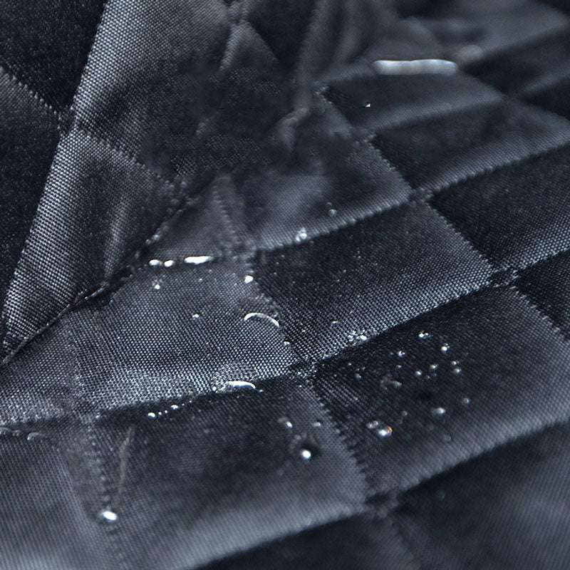 Simple Polyester Car Two-seater Rear Pet Mat