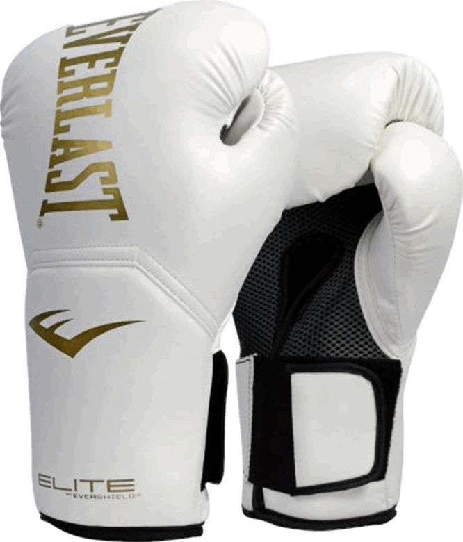 Fighting Sanda Muay Thai Boxing Set Sandbag Gloves