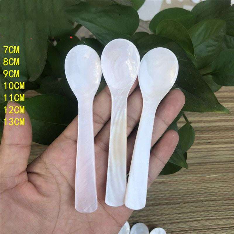 Conch Shell Children's Tableware Seasoning Spoon No Lacquer