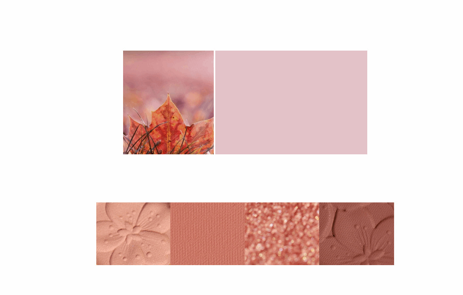 NOVO Eyeshadow Palette