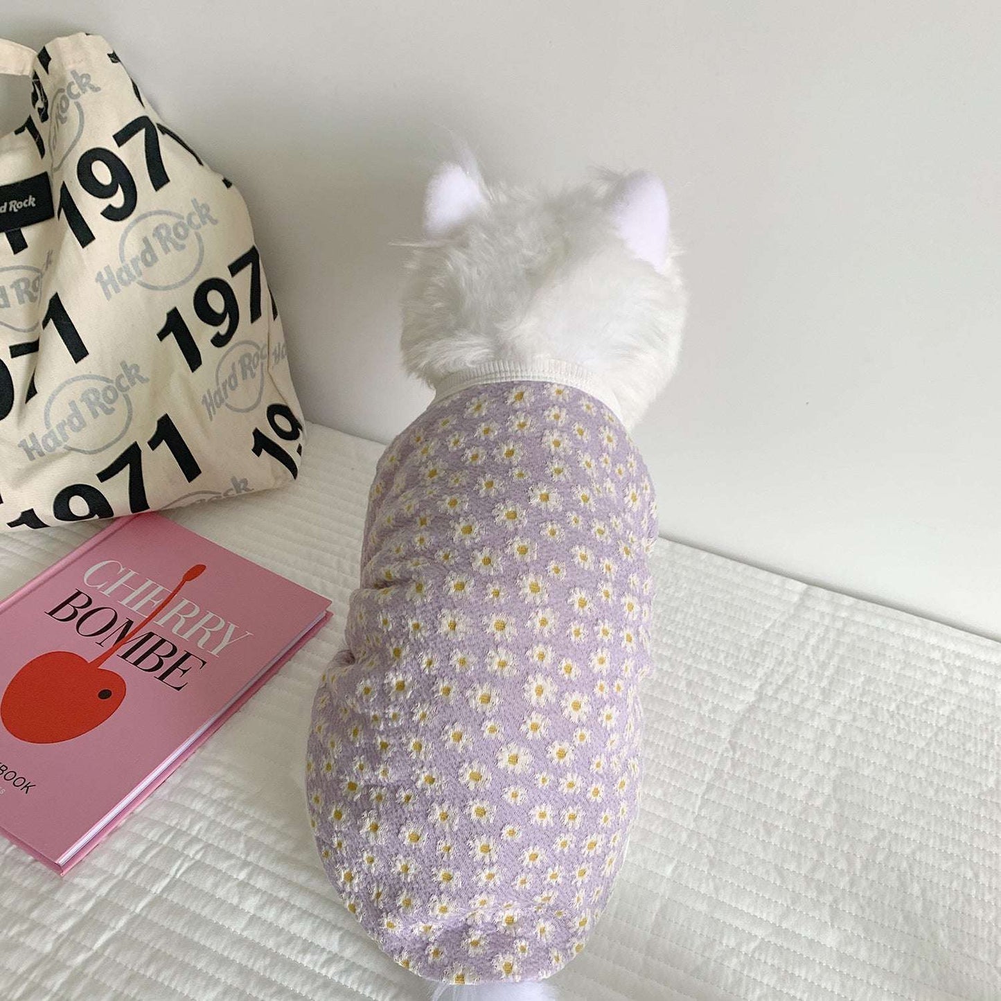 Pet Autumn And Winter Dog And Cat Clothes