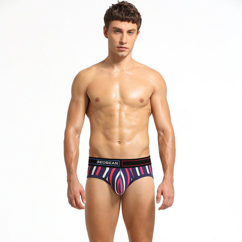 Men's Briefs Cotton Briefs With Vertical Stripes