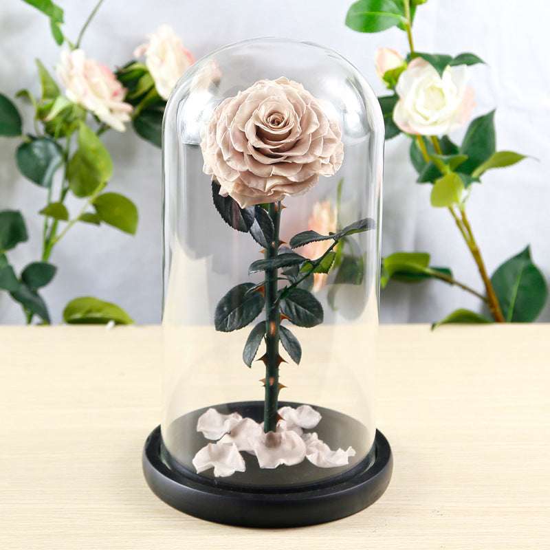 Preserved Flower Rose Finished Glass Cover Gift Box