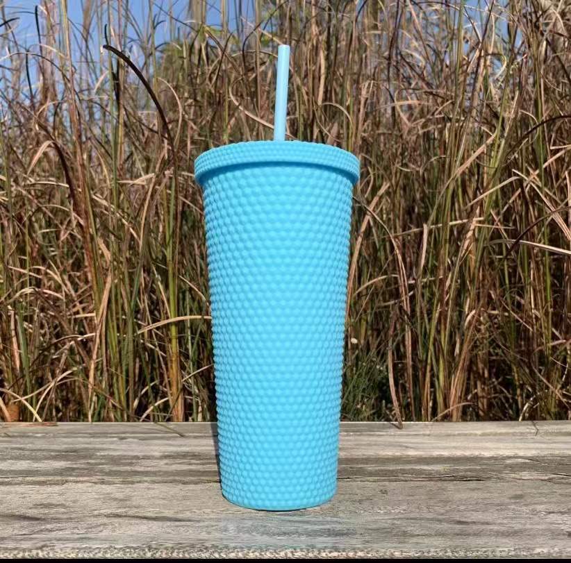 Outdoor Plastic Double Frosted Mug With Straw