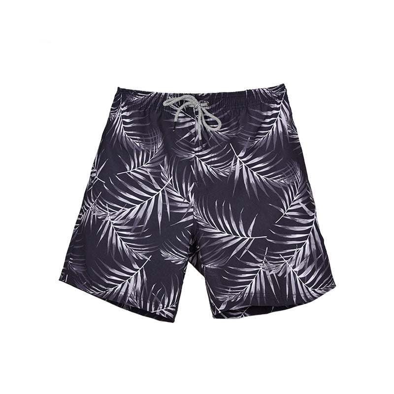 Summer Quick-drying Shorts Men's Beach Pants - globaltradeleader