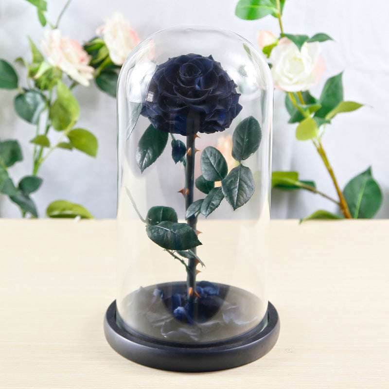 Preserved Flower Rose Finished Glass Cover Gift Box