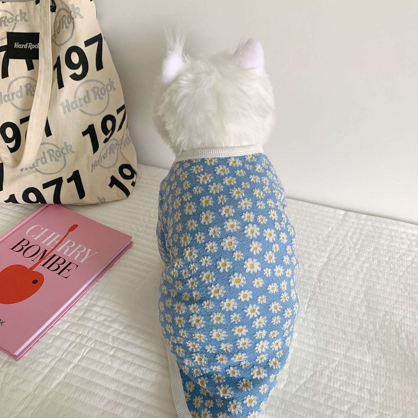 Pet Autumn And Winter Dog And Cat Clothes