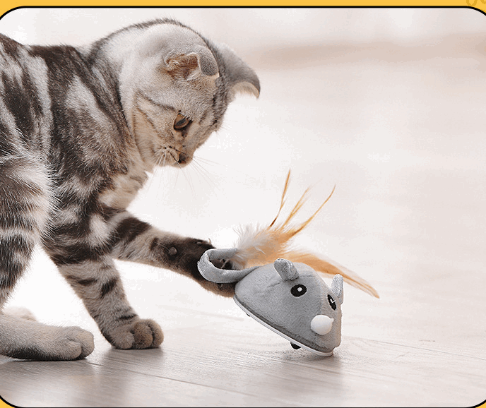 Self-hi Intelligent Electric Pet Toy Charging