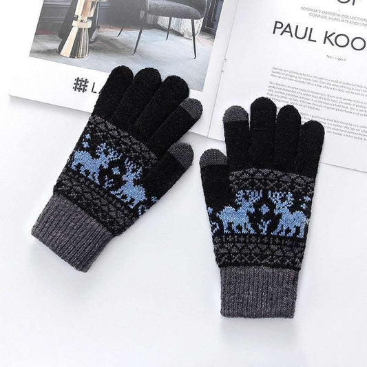 Women's Gloves Winter Warm Thickened Five-finger Riding Finger Gloves - globaltradeleader