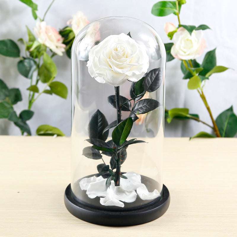 Preserved Flower Rose Finished Glass Cover Gift Box