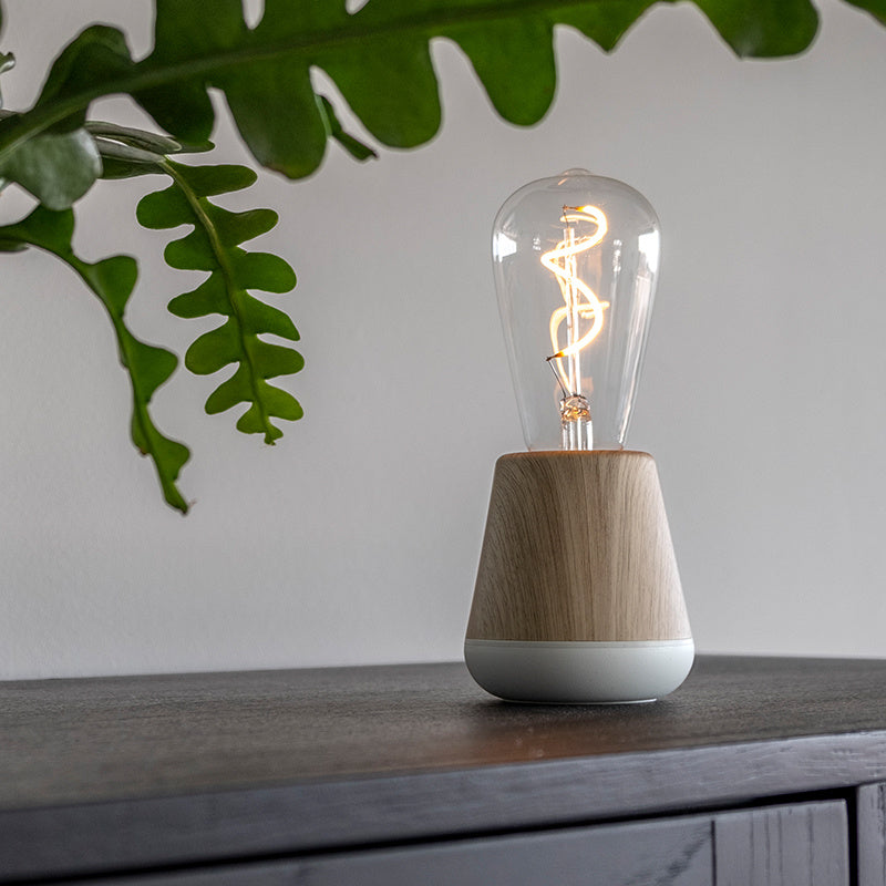 Ambience Light Long Endurance 3-speed Adjustable Portable Camping Lantern - globaltradeleader