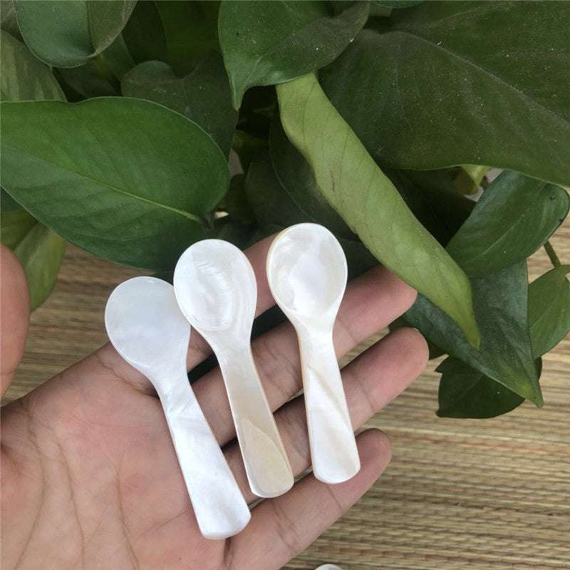 Conch Shell Children's Tableware Seasoning Spoon No Lacquer