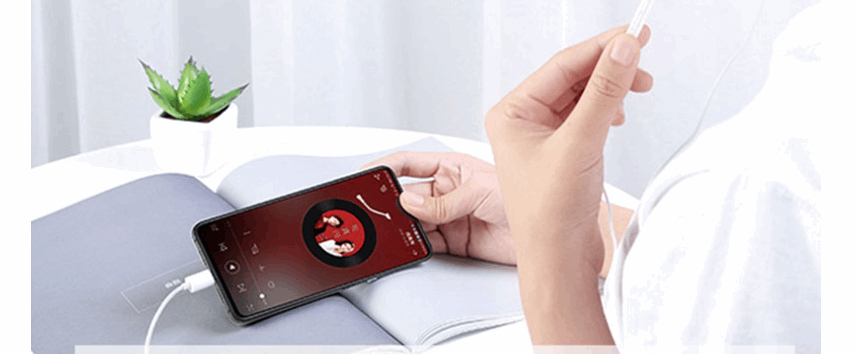 Headphone Adapter Type-C Digital Audio Adapter Cable