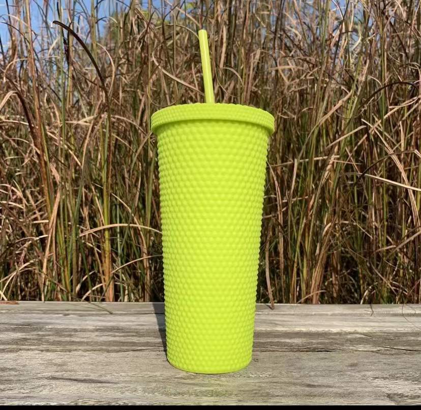 Outdoor Plastic Double Frosted Mug With Straw