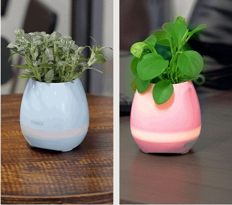 Touch-sensitive music vase desktop audio