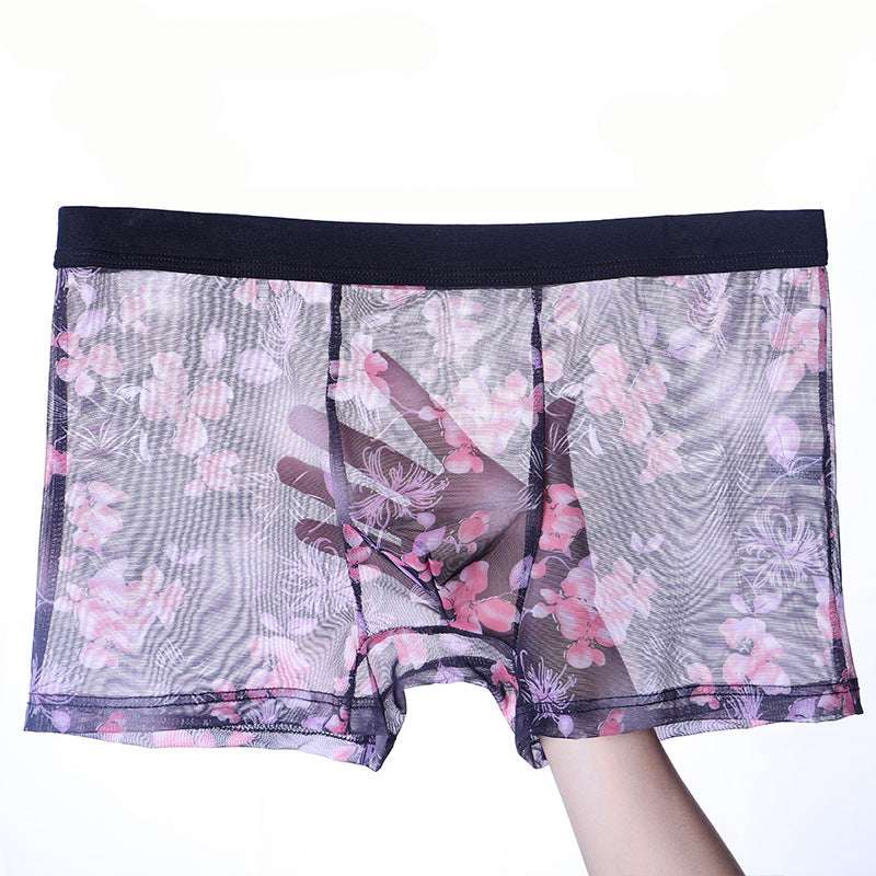 Men's Underwear  Thin Mesh Transparent Blcak