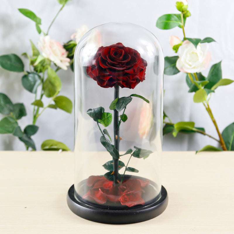 Preserved Flower Rose Finished Glass Cover Gift Box