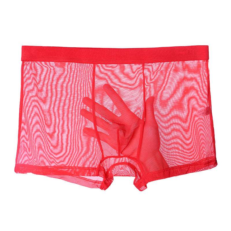 Men's Underwear  Thin Mesh Transparent Blcak